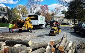 Best Firewood Processing and Delivery  in Hollymead, VA